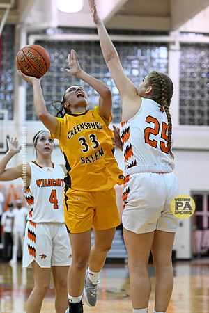 020021022- GirlsHoops-LatrobeVsGSalem-BR9-0666