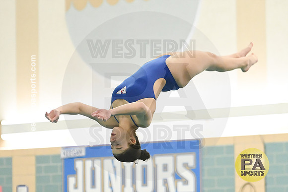 WCCA Diving_20230124-WP2_3031