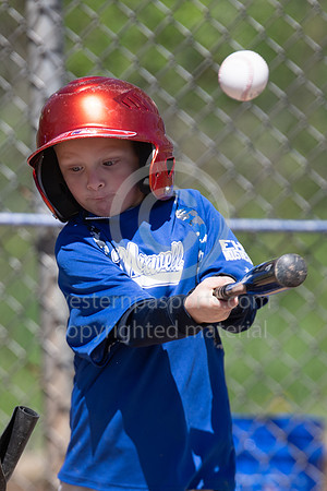 TeeBall-CorrellVzHarness-0128